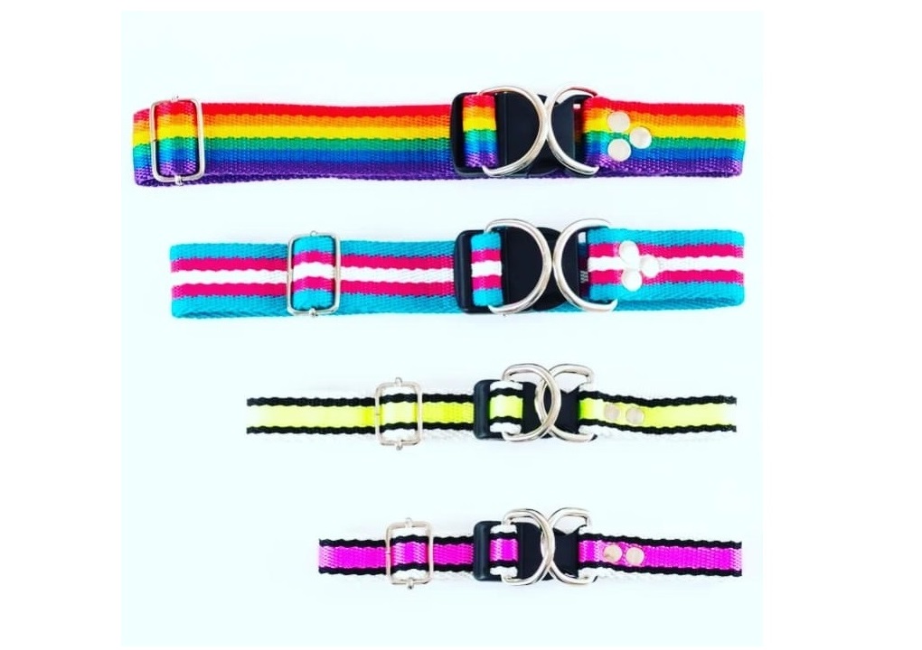 collares regubles 1