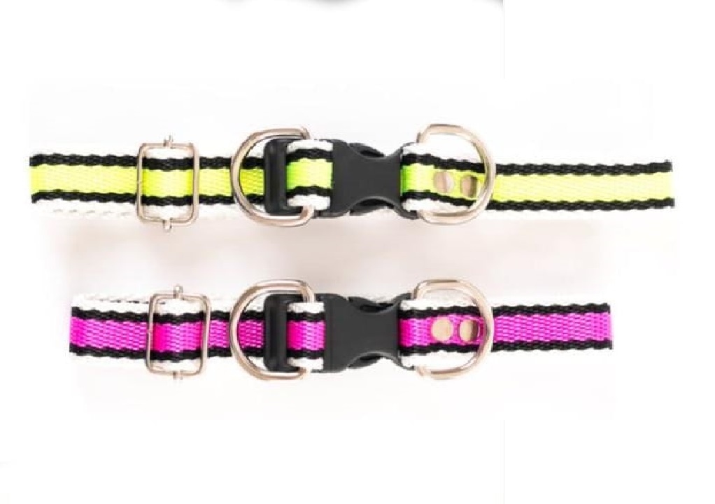 collares regubles 4