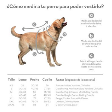 medidas para accesorios